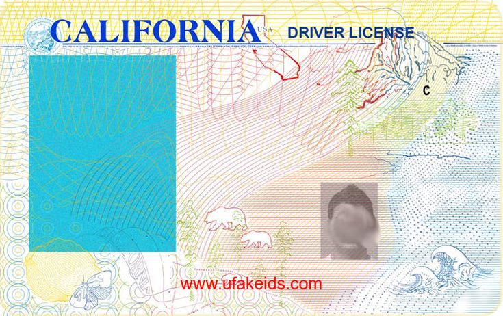 drivers license editable template